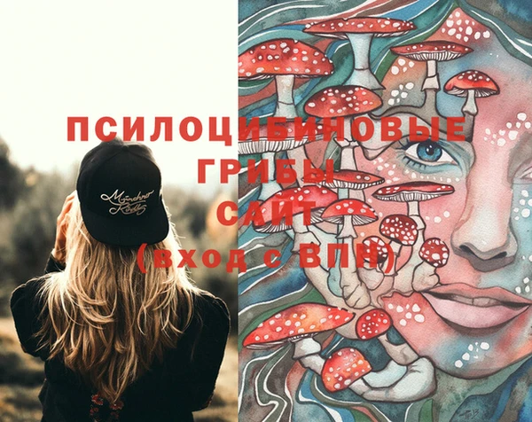MESCALINE Гусь-Хрустальный