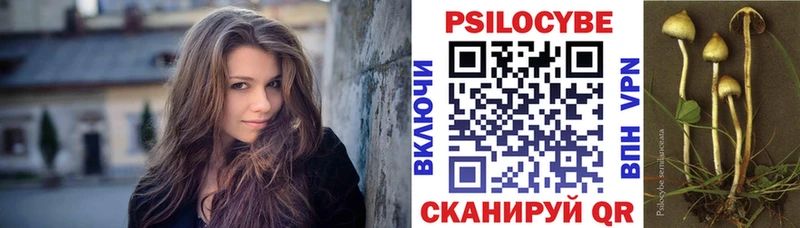 Купить закладки  Шагонар  Псилоцибиновые грибы Cubensis 
