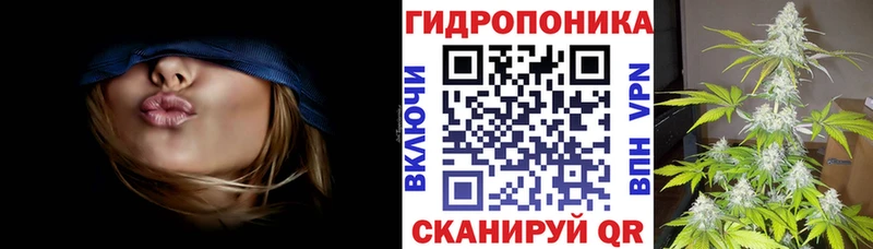 МАРИХУАНА планчик  Купить закладки  Шагонар 